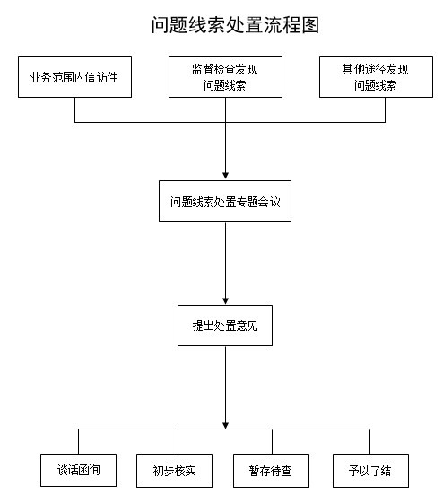 问题线索处置流程图